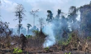 FOTO 30 Sept_Kebakaran hutan dan lahan (karhutla) di Desa Pampalu, Kecamatan Beo Selatan, Kabupaten Kepulauan Talaud, Sulawesi Utara. dok. bpbd