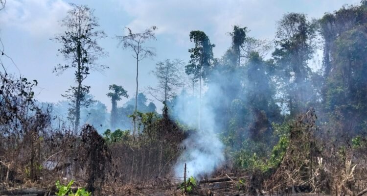FOTO 30 Sept_Kebakaran hutan dan lahan (karhutla) di Desa Pampalu, Kecamatan Beo Selatan, Kabupaten Kepulauan Talaud, Sulawesi Utara. dok. bpbd