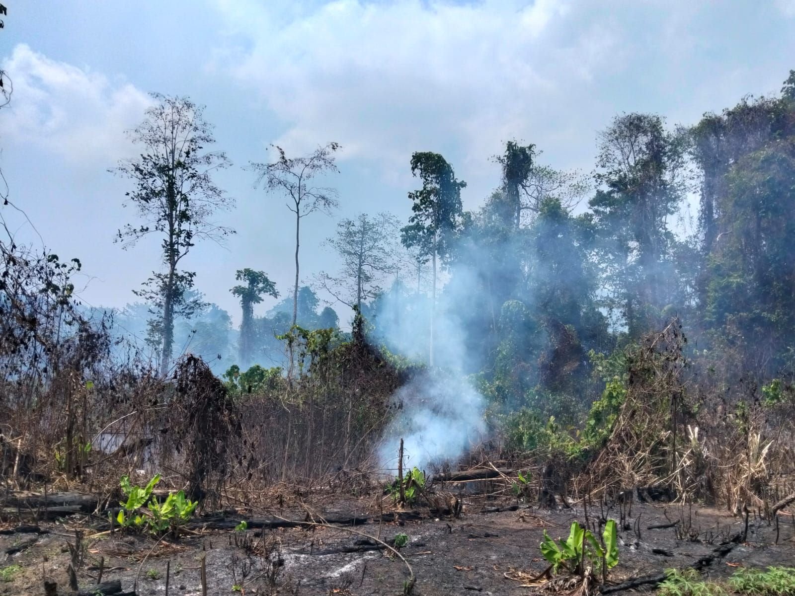 FOTO 30 Sept_Kebakaran hutan dan lahan (karhutla) di Desa Pampalu, Kecamatan Beo Selatan, Kabupaten Kepulauan Talaud, Sulawesi Utara. dok. bpbd