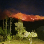 FOTO 4 Sept_Kebakaran di salah satu kawasan gunung di Provinsi Jawa Timur. (dok. bnpb)