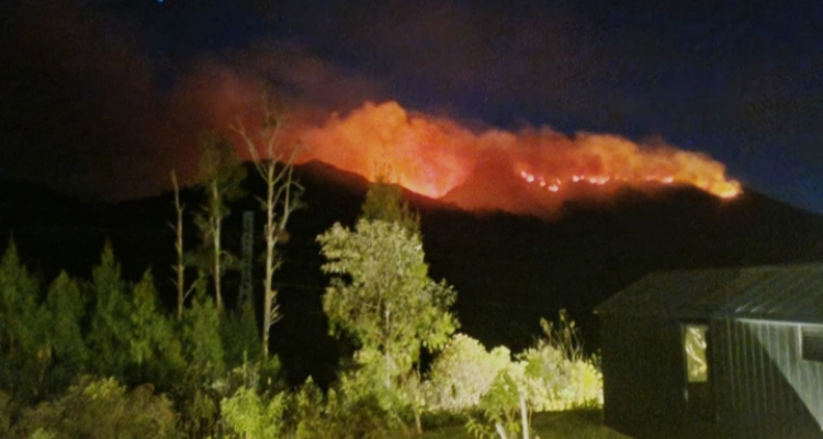 FOTO 4 Sept_Kebakaran di salah satu kawasan gunung di Provinsi Jawa Timur. (dok. bnpb)