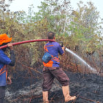 FOTO 5 Sept_Tim BPBD Kabupaten Bulungan berupaya memadamkan api pada lahan di dua kecamatan Kabupaten Bulungan, Provinsi Kalimantan Utara. bpbdkab