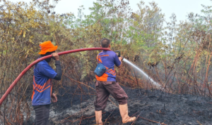 FOTO 5 Sept_Tim BPBD Kabupaten Bulungan berupaya memadamkan api pada lahan di dua kecamatan Kabupaten Bulungan, Provinsi Kalimantan Utara. bpbdkab