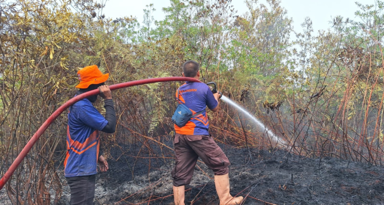 FOTO 5 Sept_Tim BPBD Kabupaten Bulungan berupaya memadamkan api pada lahan di dua kecamatan Kabupaten Bulungan, Provinsi Kalimantan Utara. bpbdkab