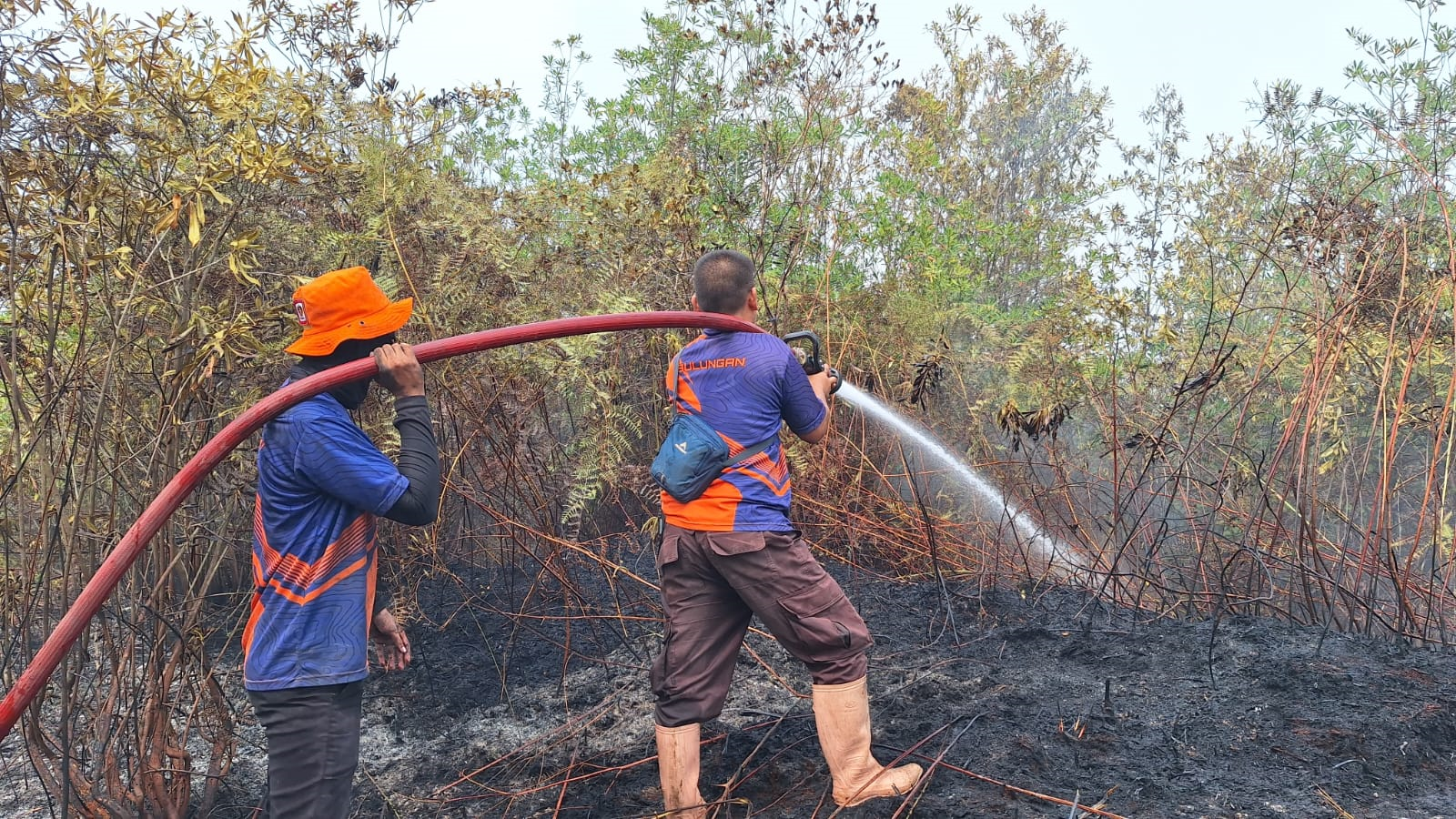 FOTO 5 Sept_Tim BPBD Kabupaten Bulungan berupaya memadamkan api pada lahan di dua kecamatan Kabupaten Bulungan, Provinsi Kalimantan Utara. bpbdkab