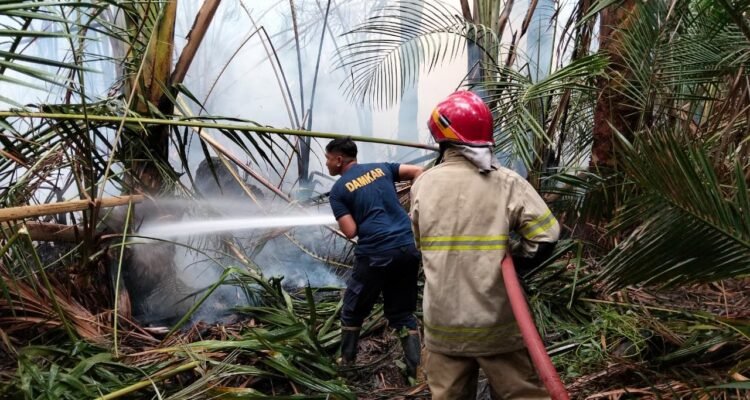 FOTO 8 Sept_Tim gabungan melakukan pemadaman api yang membakar wilayah Kabupaten Aceh Besar, Provinsi Aceh. dok.