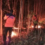 FOTO 10 Okt_BPBD dan Tim Gabungan memadamkan api di 11 ha lahan yang terbakar pada Tempat Pemrosesan Akhir (TPA) Takome, Kota Ternate, Prov Maluku Utara 1