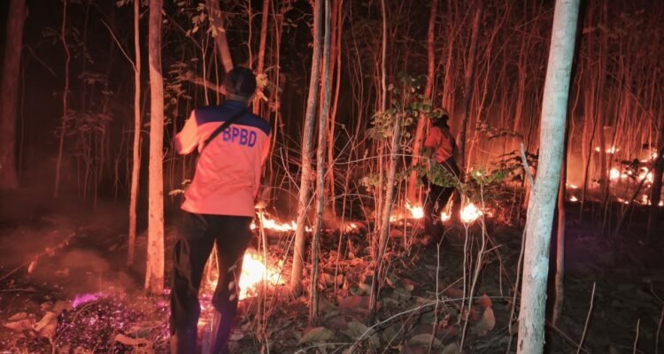 FOTO 10 Okt_BPBD dan Tim Gabungan memadamkan api di 11 ha lahan yang terbakar pada Tempat Pemrosesan Akhir (TPA) Takome, Kota Ternate, Prov Maluku Utara 1