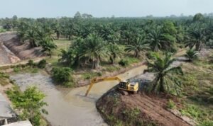 FOTO 10 Okt_Lahan pertanian di Daerah Irigasi Rawa (DIR) Pisang, Kabupaten Lampung Selatan. dok. kementerianpu INI