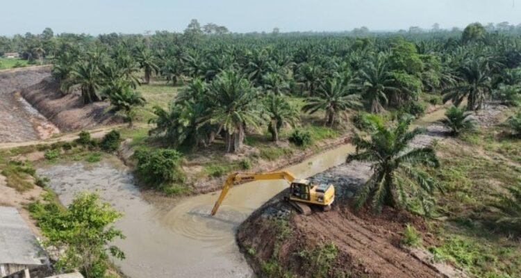 FOTO 10 Okt_Lahan pertanian di Daerah Irigasi Rawa (DIR) Pisang, Kabupaten Lampung Selatan. dok. kementerianpu INI