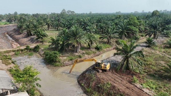 FOTO 10 Okt_Lahan pertanian di Daerah Irigasi Rawa (DIR) Pisang, Kabupaten Lampung Selatan. dok. kementerianpu INI