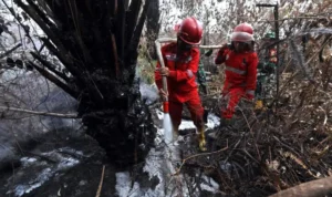 FOTO 15 Okt_Upaya pemadaman karhutla oleh Satgas Darat dan Udara di wilayah Kecamatan Gelumbang, Kabupaten Muara Enim, Sumatra Selatan. dok. bnpb