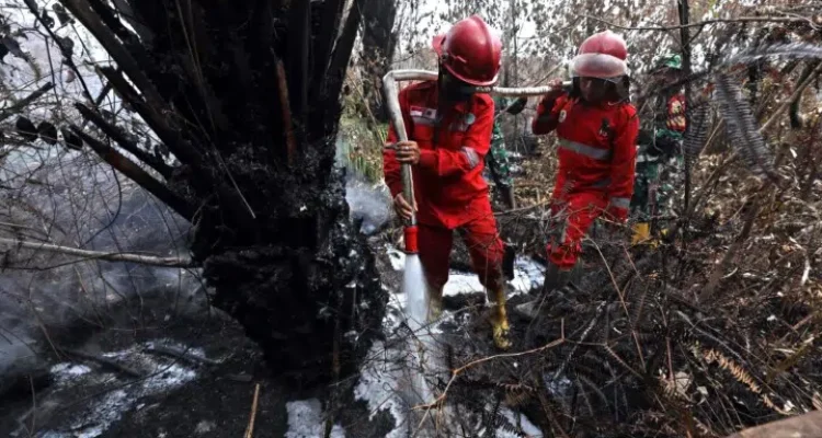 FOTO 15 Okt_Upaya pemadaman karhutla oleh Satgas Darat dan Udara di wilayah Kecamatan Gelumbang, Kabupaten Muara Enim, Sumatra Selatan. dok. bnpb