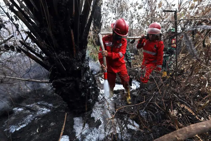 FOTO 15 Okt_Upaya pemadaman karhutla oleh Satgas Darat dan Udara di wilayah Kecamatan Gelumbang, Kabupaten Muara Enim, Sumatra Selatan. dok. bnpb