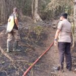 FOTO 15 Okt_Upaya pemadaman kebakaran hutan di wilayah Desa Kayu Jati, Kec Ongka Malino, Kab Parigi Moutong, Prov Sulawesi Tengah. bpbdkabupaten