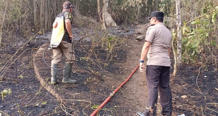 FOTO 15 Okt_Upaya pemadaman kebakaran hutan di wilayah Desa Kayu Jati, Kec Ongka Malino, Kab Parigi Moutong, Prov Sulawesi Tengah. bpbdkabupaten