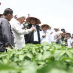 FOTO 16 Okt_Menteri Pertanian mengunjungi Pusat Inovasi Agro Teknologi Universitas Gadjah Mada (PIAT UGM)