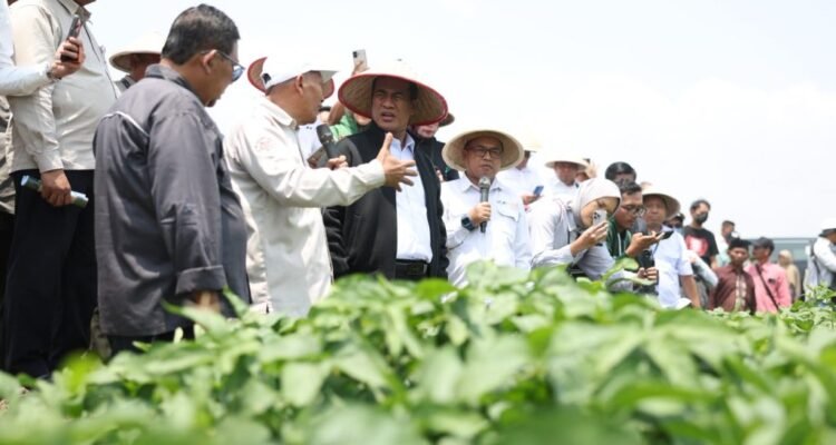 FOTO 16 Okt_Menteri Pertanian mengunjungi Pusat Inovasi Agro Teknologi Universitas Gadjah Mada (PIAT UGM)