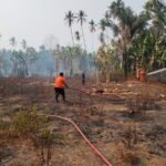 FOTO 19 Okt_Tim gabungan berupaya memadamkan kebakaran hutan dan lahan di Kelurahan Labia Bae, Kecamatan Ampana, Kabupaten Tojo Una-Una, Sulawesi Tengah 1
