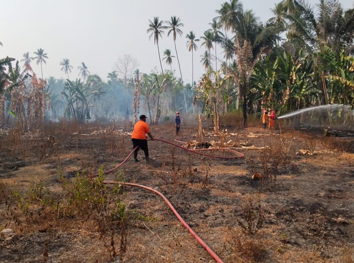 FOTO 19 Okt_Tim gabungan berupaya memadamkan kebakaran hutan dan lahan di Kelurahan Labia Bae, Kecamatan Ampana, Kabupaten Tojo Una-Una, Sulawesi Tengah 1