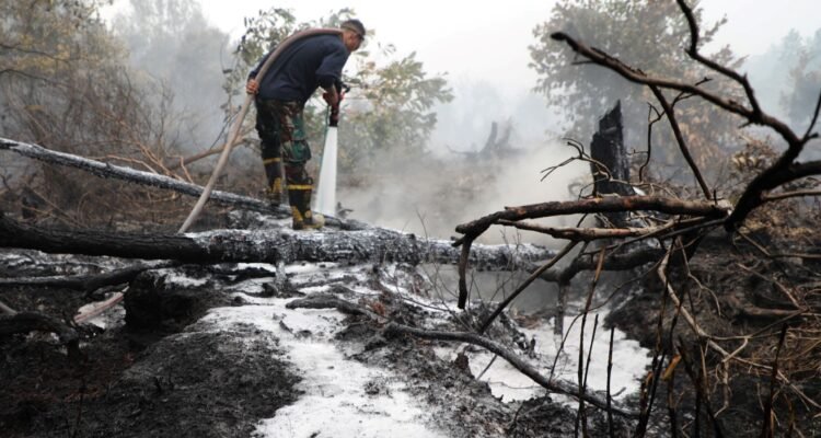 FOTO 22 Sept_Personil TNI memadamkan karhutla dengan menyemprot air yang dicampur dengan cairan kimia khusus di area tepi jalan trans Kalimantan. bnpb INI