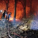FOTO 23 Okt_Proses pemadaman kebakaran lahan di Kelurahan Toddang Pulu, Kec Tellu Limpoe, Kab Sidenreng Rappang, Prov Sulawesi Selatan
