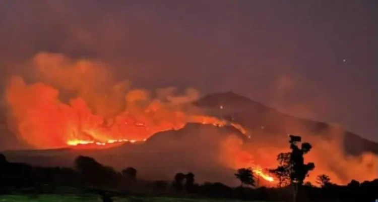 FOTO 24 Okt_Kebakaran di Gunung Arjuno terlihat dari wilayah Kecamatan Lawang, Malang. dok. perhutani
