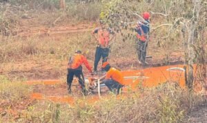 FOTO 24 Okt_Kebakaran hutan dan lahan yang terjadi di Desa Puncak Indah, Kecamatan Malili, Kabupaten Luwu Timur, Sulawesi Selatan 1