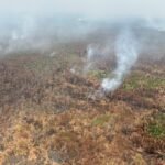FOTO 24 Okt_Pantauan udara kebakaran hutan dan lahan di kawasan Taman Nasional Way Kambas, Kab Lampung Timur, Prov Lampung. bnpb1