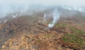 FOTO 24 Okt_Pantauan udara kebakaran hutan dan lahan di kawasan Taman Nasional Way Kambas, Kab Lampung Timur, Prov Lampung. bnpb1