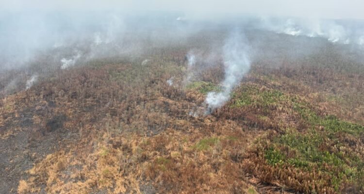 FOTO 24 Okt_Pantauan udara kebakaran hutan dan lahan di kawasan Taman Nasional Way Kambas, Kab Lampung Timur, Prov Lampung. bnpb1