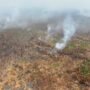 FOTO 24 Okt_Pantauan udara kebakaran hutan dan lahan di kawasan Taman Nasional Way Kambas, Kab Lampung Timur, Prov Lampung. bnpb1