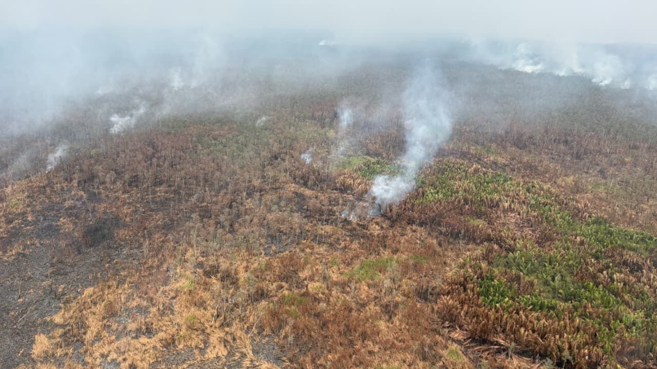 FOTO 24 Okt_Pantauan udara kebakaran hutan dan lahan di kawasan Taman Nasional Way Kambas, Kab Lampung Timur, Prov Lampung. bnpb1