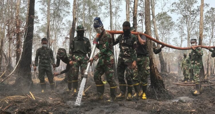 FOTO 24 Okt_Tim gabungan melakukan pemadaman kebakaran hutan dan lahan di kawasan Taman Nasional Way Kambas, Kab Lampung Timur, Prov Lampung 1