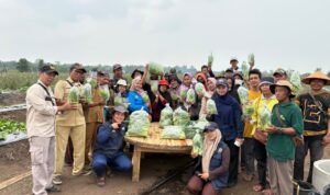 FOTO 26 Okt_Petani di kawasan Transmigrasi Batu Betumpang, Kabupaten Bangka Selatan, Kepulauan Bangka Belitung