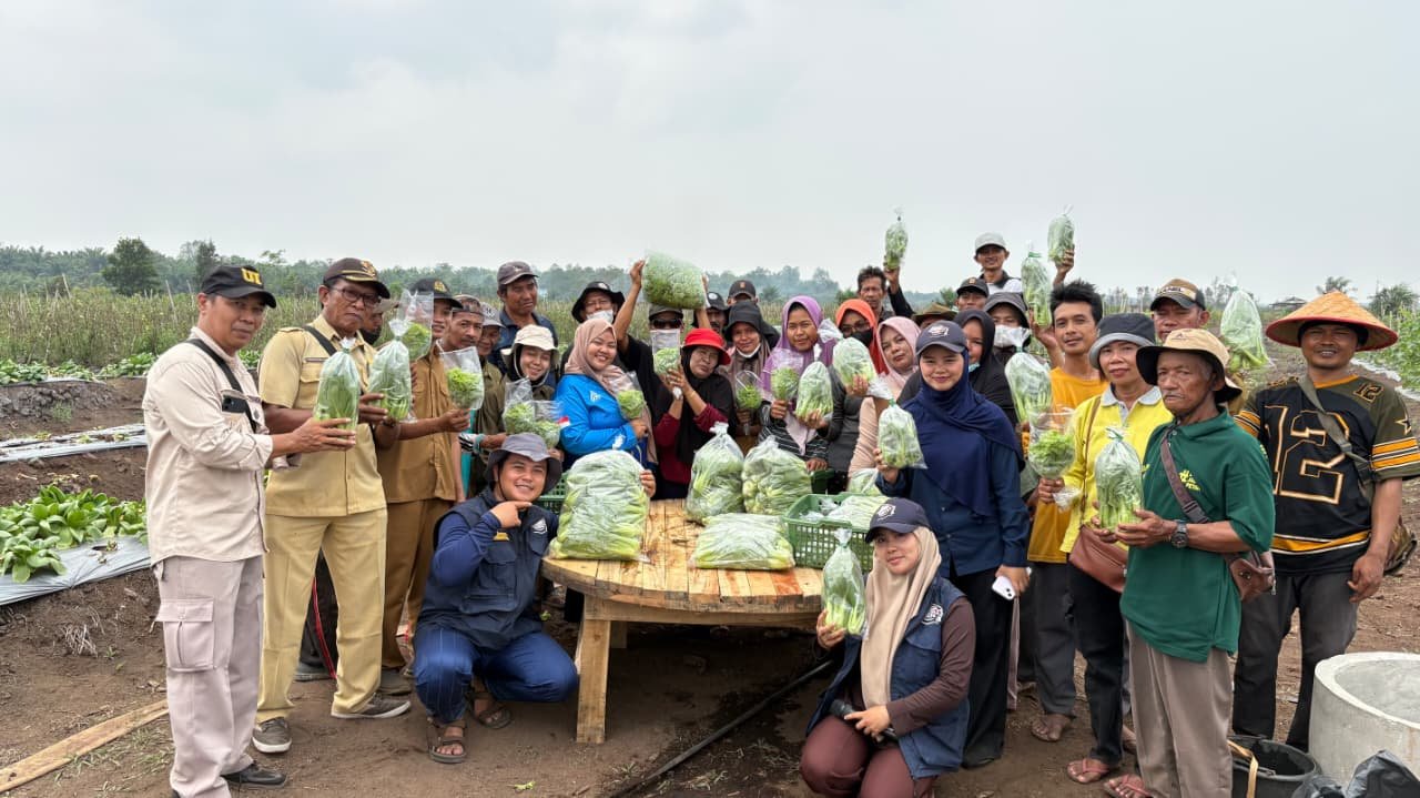 FOTO 26 Okt_Petani di kawasan Transmigrasi Batu Betumpang, Kabupaten Bangka Selatan, Kepulauan Bangka Belitung