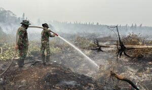FOTO 27 Okt_Tim gabungan terus memadamkan dan pendinginan agar tidak ada bara api yang tersisa di lahan gambut wilayah Kabupaten Ketapang, Provinsi Kalimantan Barat1