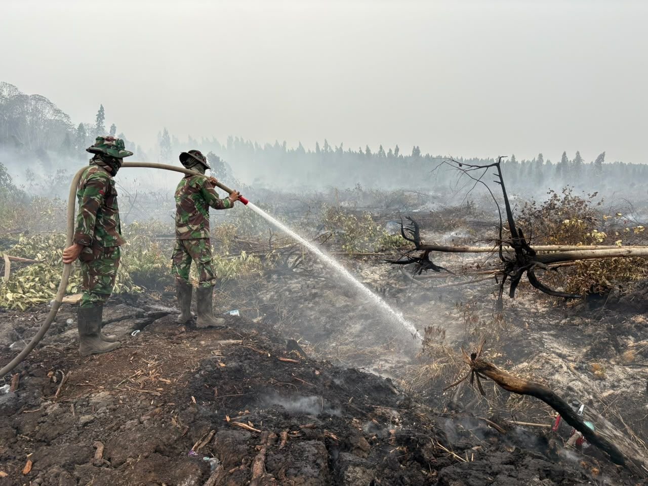 FOTO 27 Okt_Tim gabungan terus memadamkan dan pendinginan agar tidak ada bara api yang tersisa di lahan gambut wilayah Kabupaten Ketapang, Provinsi Kalimantan Barat1