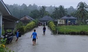 FOTO 3 Okt_Banjir yang melanda Kecamatan O’o’u dan Kecamatan Maniamolo di Kabupaten Nias Selatan, Provinsi Sumatra Utara. bpbd