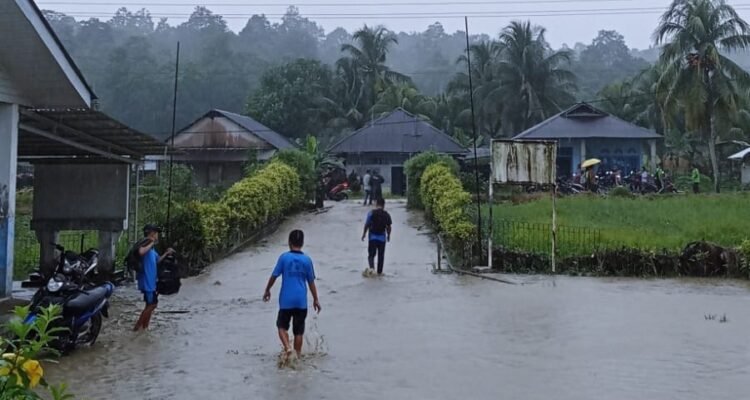 FOTO 3 Okt_Banjir yang melanda Kecamatan O’o’u dan Kecamatan Maniamolo di Kabupaten Nias Selatan, Provinsi Sumatra Utara. bpbd