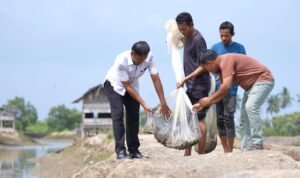 FOTO 30 Okt_Pemulihan sektor kelautan dan perikanan pascabencana di Aceh, Sumatra Utara dan Sumatra Barat. dok. kkp