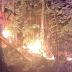 FOTO 4 Sept_Karhutla melanda kawasan hutan rakyat di Gunung Bancak, Dusun Setren, Desa Giripurno, Kecamatan Kawedanan, Kabupaten Magetan, Jawa Timur INI