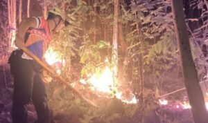 FOTO 4 Sept_Karhutla melanda kawasan hutan rakyat di Gunung Bancak, Dusun Setren, Desa Giripurno, Kecamatan Kawedanan, Kabupaten Magetan, Jawa Timur INI