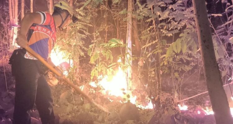 FOTO 4 Sept_Karhutla melanda kawasan hutan rakyat di Gunung Bancak, Dusun Setren, Desa Giripurno, Kecamatan Kawedanan, Kabupaten Magetan, Jawa Timur INI