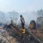 FOTO 5 Okt_Lahan seluas 1,5 hektare yang terbakar di Desa Mangkol, Kec Pangkalan Baru, Kab Bangka Tengah, Prov Kepulauan Bangka Belitung. bpbdkabupaten