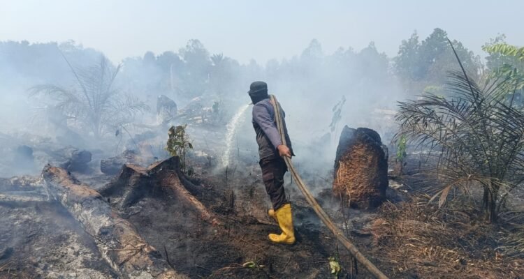 FOTO 5 Okt_Lahan seluas 1,5 hektare yang terbakar di Desa Mangkol, Kec Pangkalan Baru, Kab Bangka Tengah, Prov Kepulauan Bangka Belitung. bpbdkabupaten