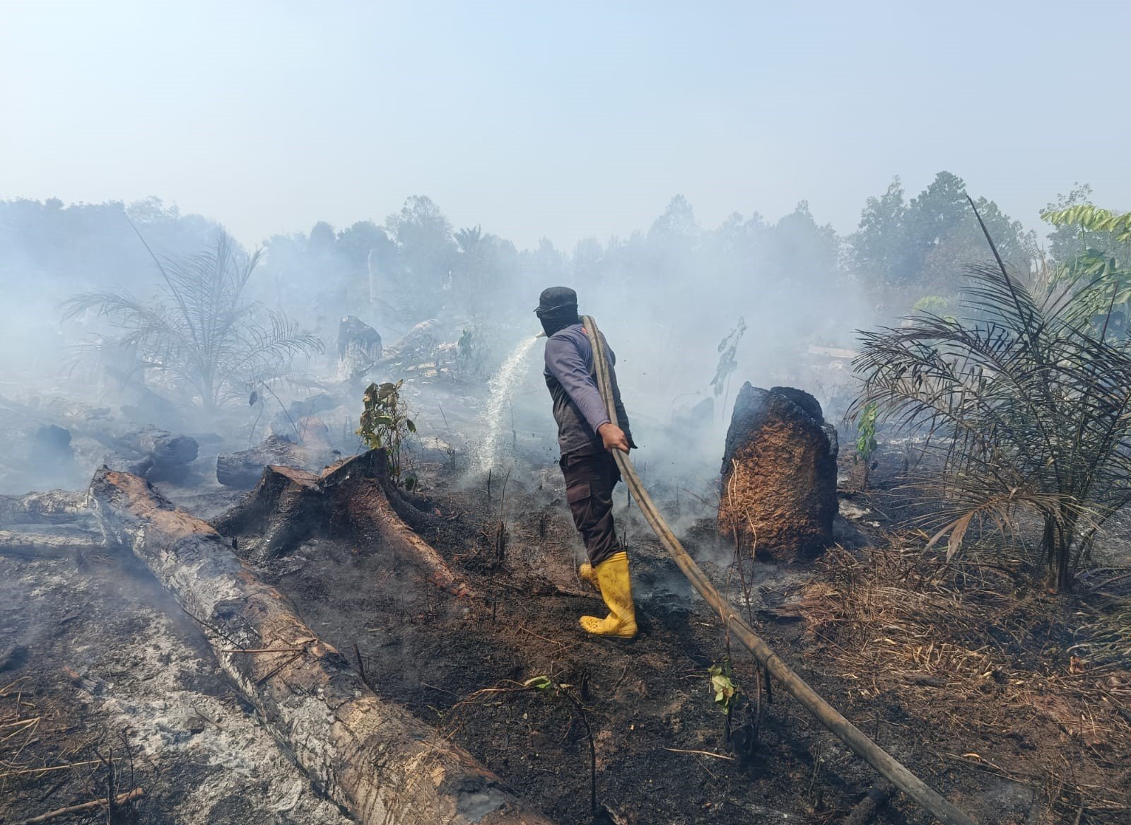 FOTO 5 Okt_Lahan seluas 1,5 hektare yang terbakar di Desa Mangkol, Kec Pangkalan Baru, Kab Bangka Tengah, Prov Kepulauan Bangka Belitung. bpbdkabupaten