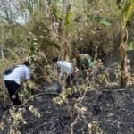 FOTO 8 Okt_Petugas segera merespon laporan warga adanya karhutla di Desa Ngadirenggo, Kecamatan Pogalan, Kabupaten Trenggalek, Jawa Timur. bpbdkabupaten