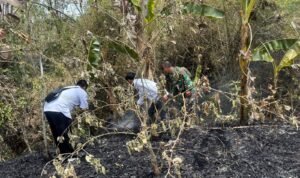 FOTO 8 Okt_Petugas segera merespon laporan warga adanya karhutla di Desa Ngadirenggo, Kecamatan Pogalan, Kabupaten Trenggalek, Jawa Timur. bpbdkabupaten