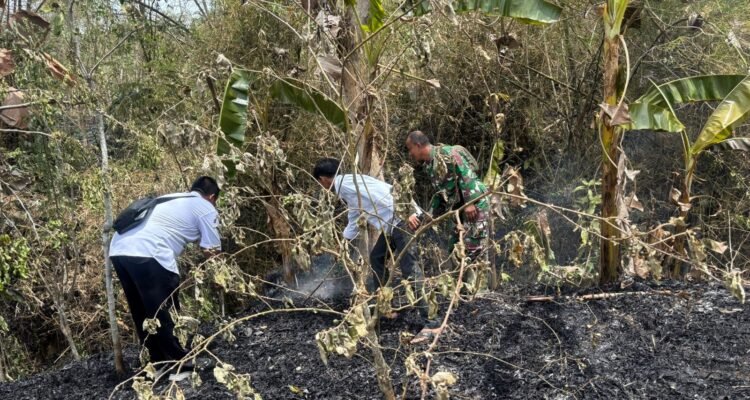 FOTO 8 Okt_Petugas segera merespon laporan warga adanya karhutla di Desa Ngadirenggo, Kecamatan Pogalan, Kabupaten Trenggalek, Jawa Timur. bpbdkabupaten